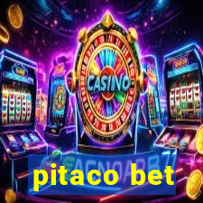 pitaco bet